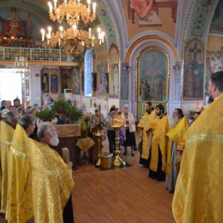 Встреча мощей святителя Димитрия Ростовского